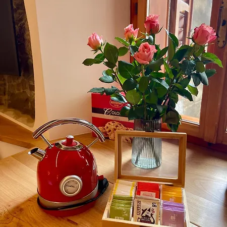 Exclusive * トリエステ