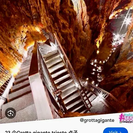 Appartement Exclusive